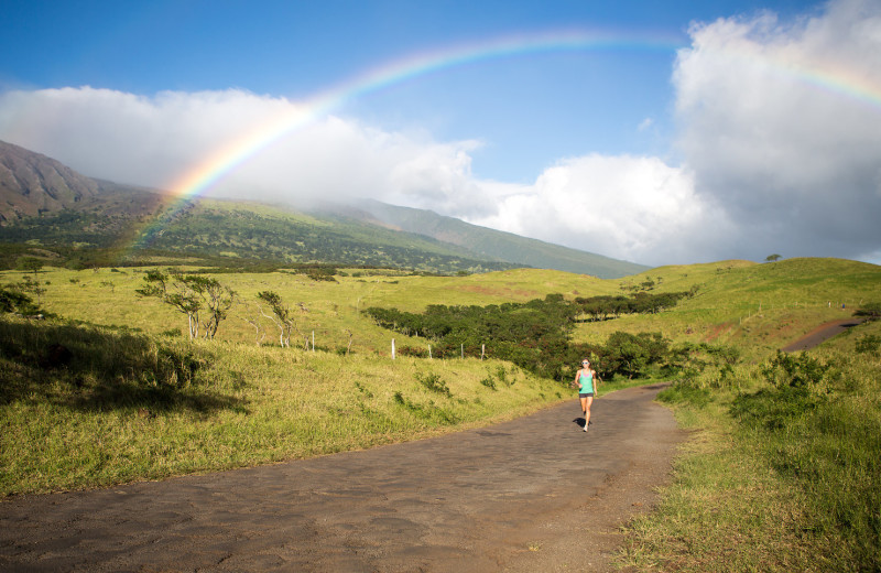 Island jog at Travaasa Hana.