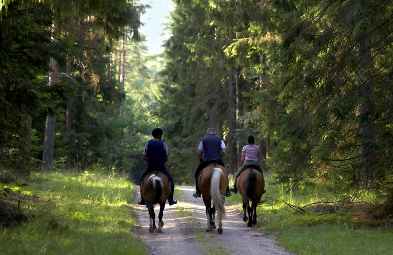 Horseback riding at Mountain Retreat Resort.