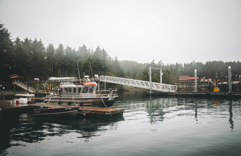 Marina at Elfin Cove Resort.