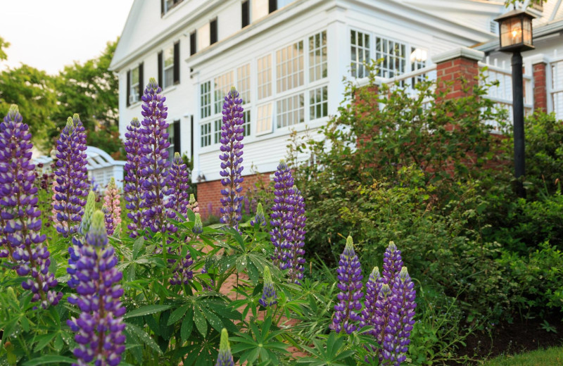 Garden at The Captain Jefferds Inn.