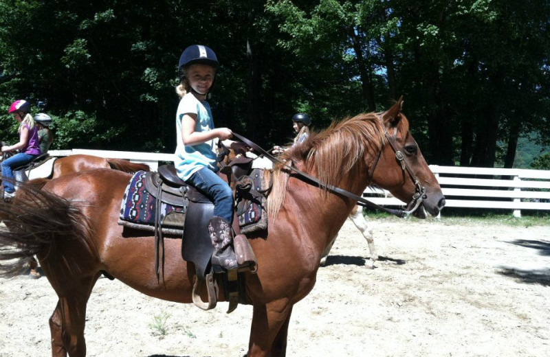 'Adopt A Horse' at Roaring Brook Tennis and Ranch Resort