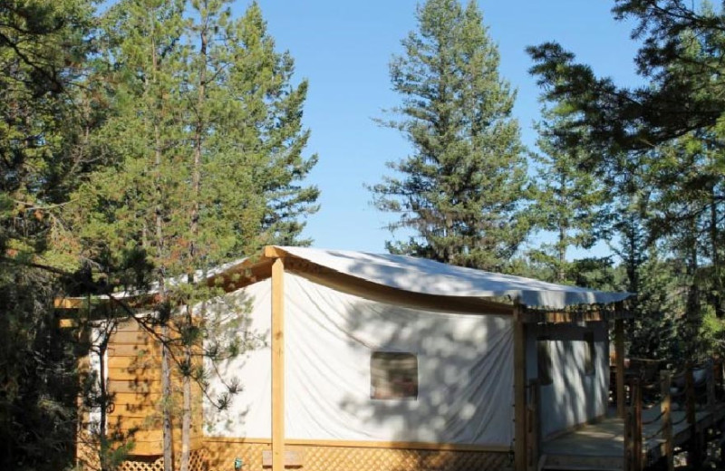 Canvas Cabin Exterior at Siwash Lake Ranch