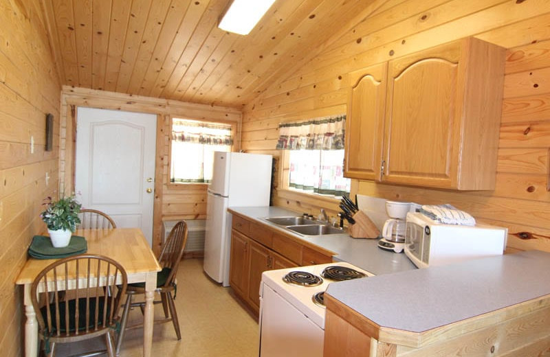 Cabin kitchen at Silver Beach Resort.
