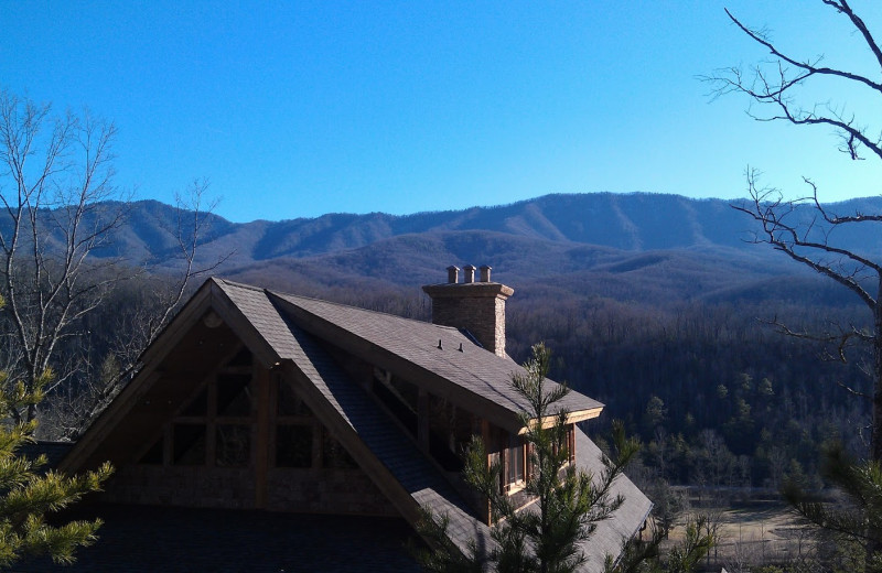 cabin fever vacations pigeon forge tn