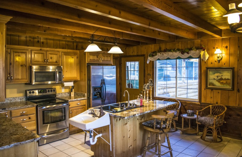 Kitchen at Alpine Forest Lodge.