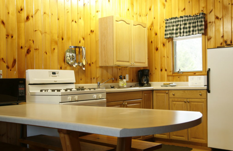 Cabin kitchen at Nor'Wester Lodge & Canoe Outfitters.