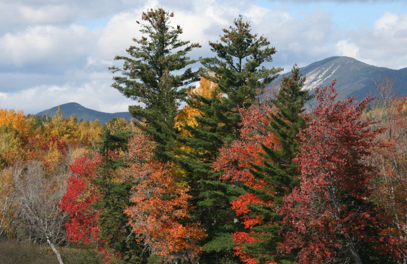 Fall leaves at Vacationland Inn.