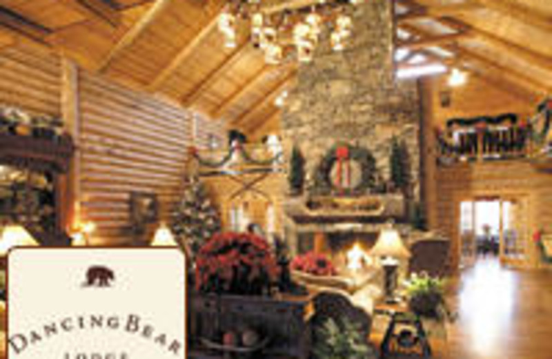 Dancing Bear Lodge (Townsend, TN) - Resort Reviews - ResortsandLodges.com