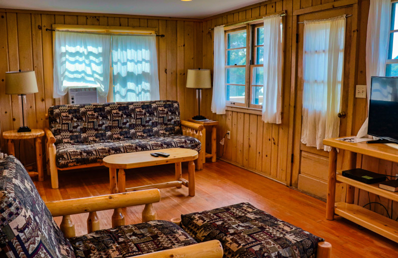 Cabin living room at Wilderness Resort Villas.