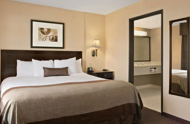 Guest Room at Wingate by Wyndham Cincinnati/Blue Ash