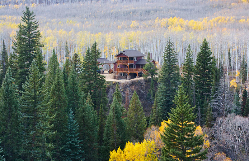 Exterior view of Wild Skies Cabin Rentals.