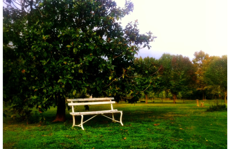 Garden view at The Abbe House Inn.