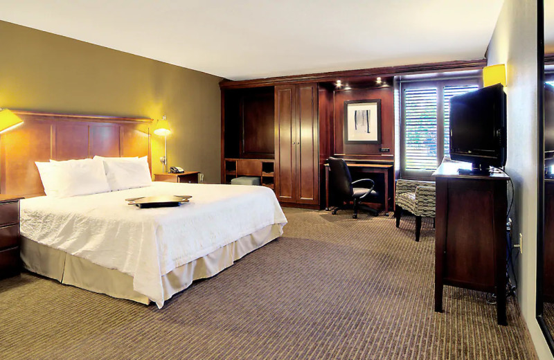 Guest room at Hampton Inn Traverse City.