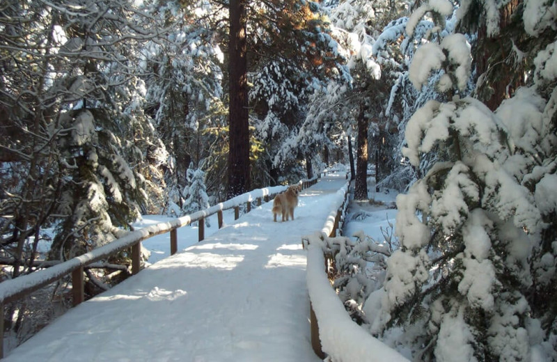 Black Butte Ranch (Black Butte Ranch, OR) Resort Reviews