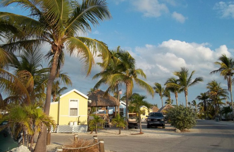 Exterior view of Resort Parks Intl LLC.