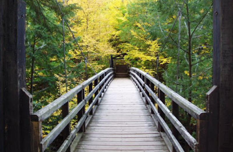 Bridge view at Mountain View Lodges.