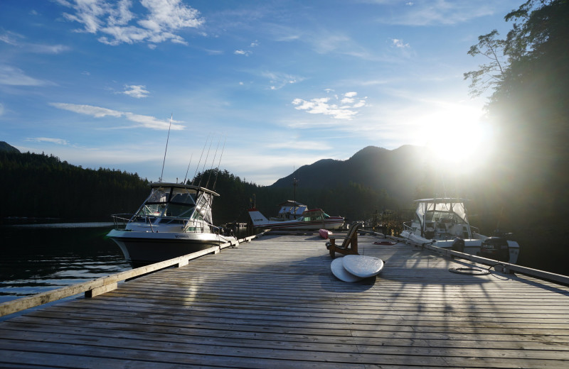 Dock at Walters Cove Resort.