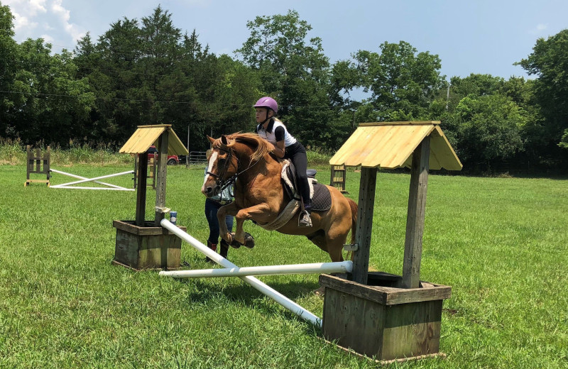 Riding at A Tennessee Dude & Guest Ranch.