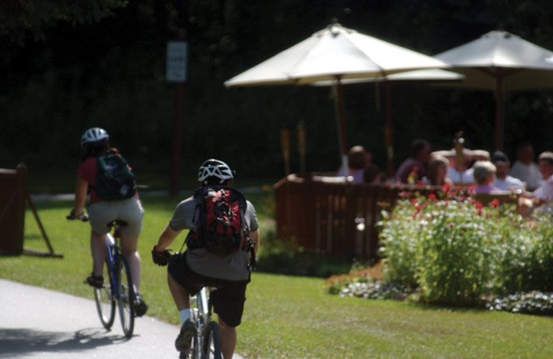 Bike trails at Mountainside Resort.