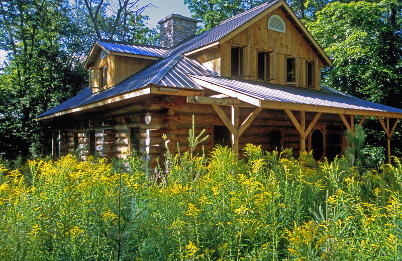 Cabin exterior at Algonquin Log Cabin.