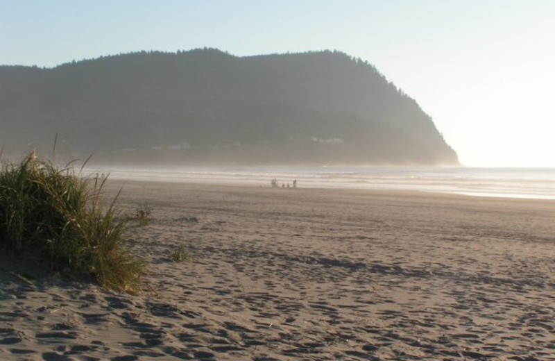 The beach at Weiss' Paradise Suites.