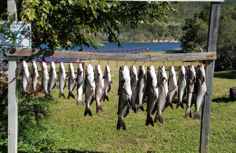 Fishing at Thunderbird Resort.