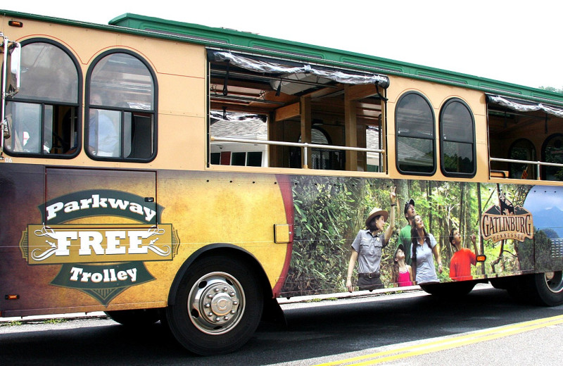 Tour bus at Old Creek Lodge.