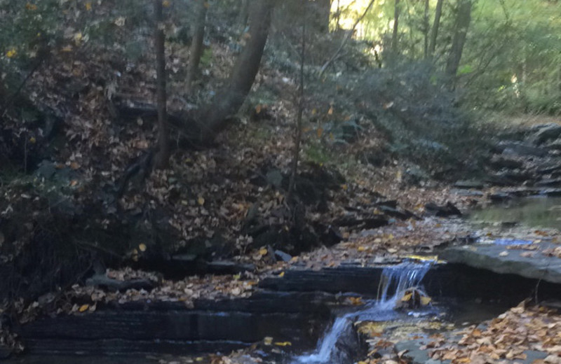 Creek at Clifftop On Seneca.