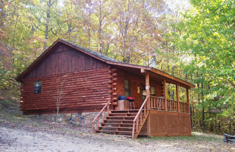 Cabin Exterior at Red Bud Valley Resort 