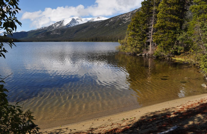 Lake Shore at Crazy Bear Wilderness Lodge