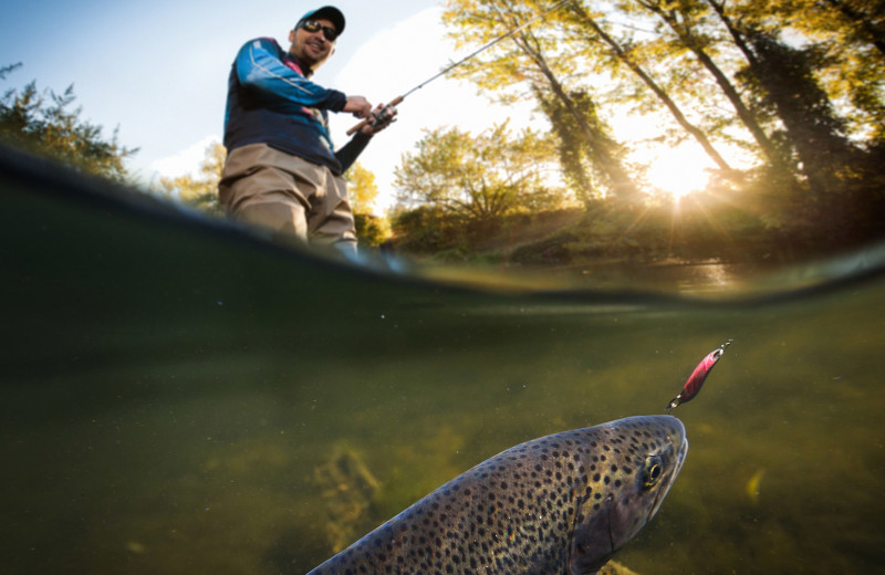 Fishing at Arkansas White River Cabins.