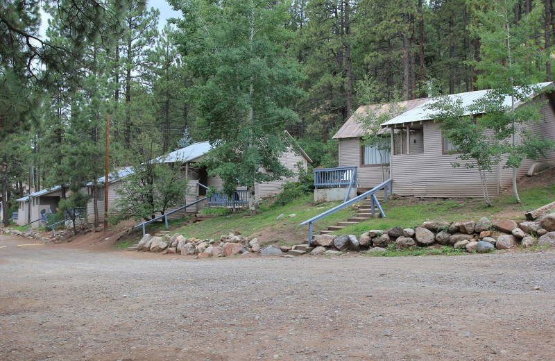 Cabins at Pine River Lodge.