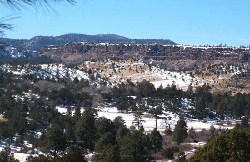 Winter at MLY Ranch.