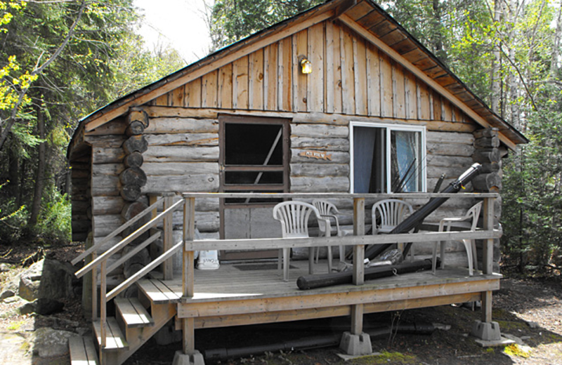 Cabin Exterior Garden Island Lodge