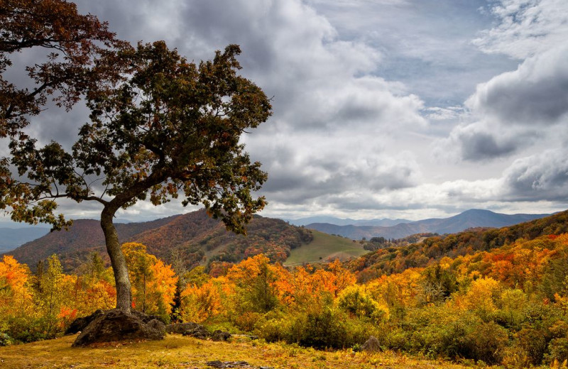 Scenic view at Cataloochee Ranch.