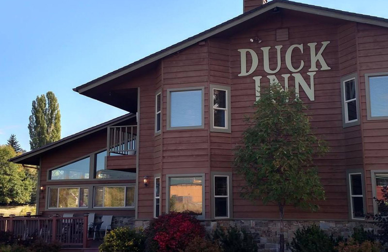 Exterior view of The Duck Inn.