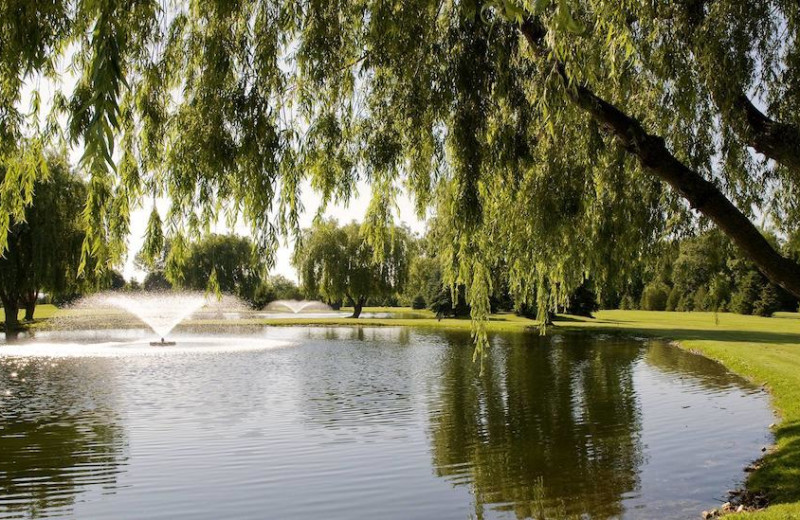 Pond at Oakwood Resort.