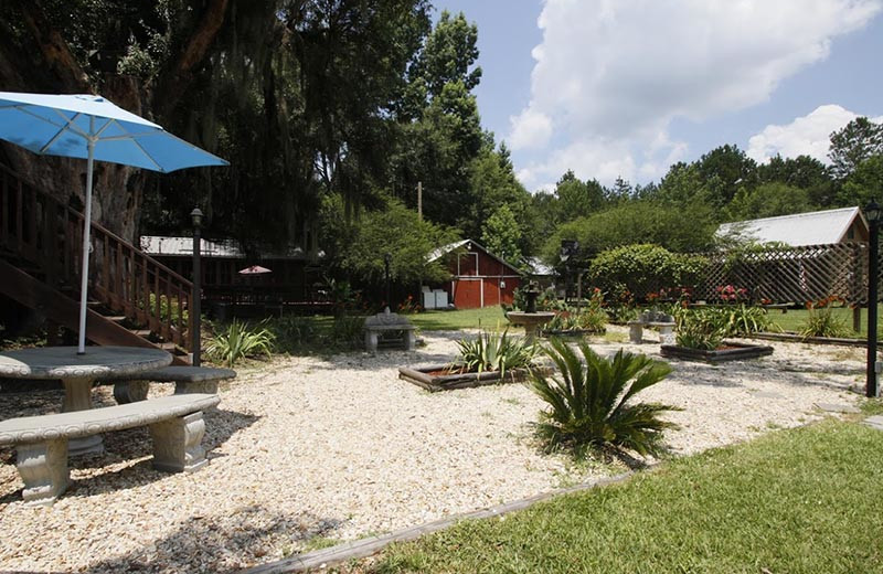 Garden at Berry Creek Cabins.