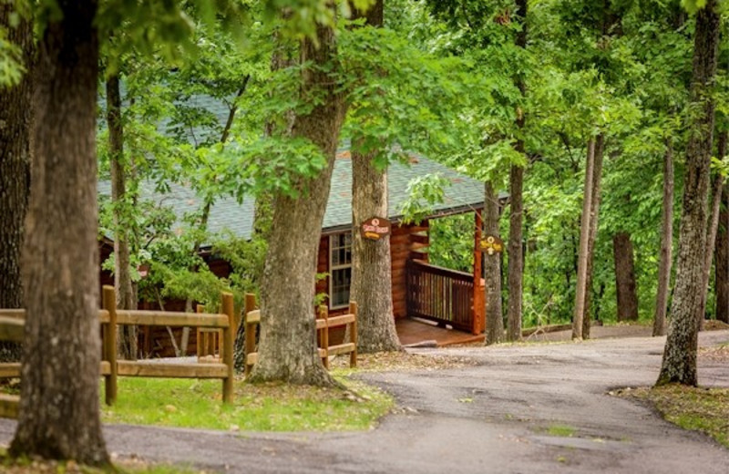 Cabin exterior at Lake Forest Luxury Log Cabins.