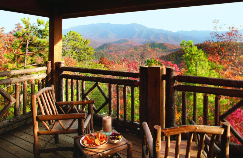 View from The Lodge at Buckberry Creek.