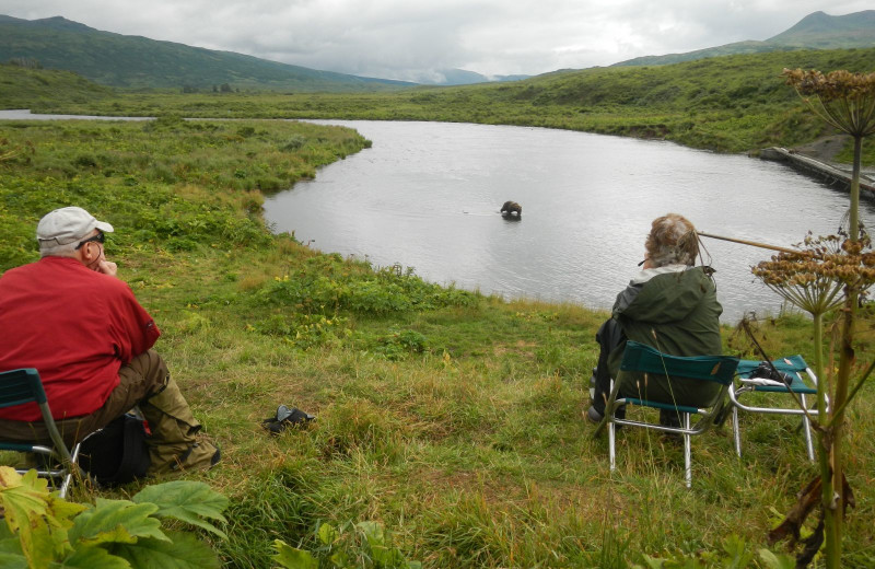 Bear watching at Zachar Bay Lodge.