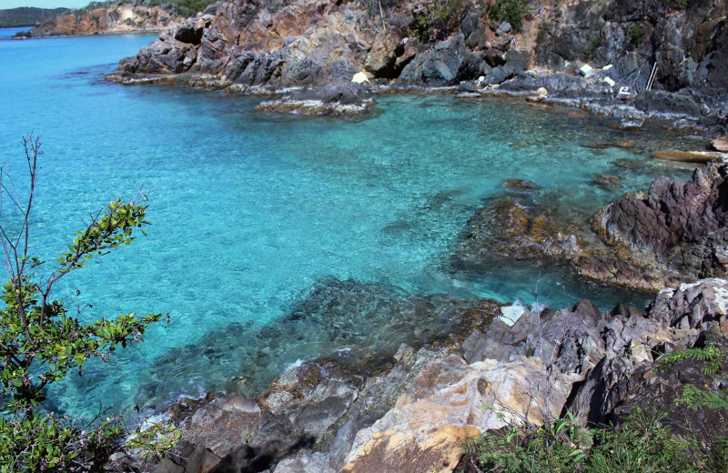 Beach at Paradise Cove Resort.