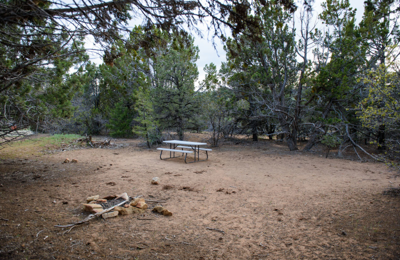 RV campground at Clear Creek Family Ranch.