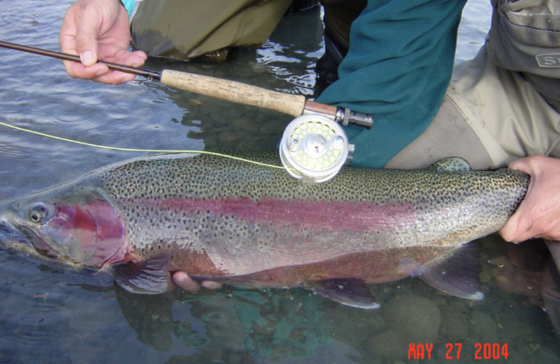 Trout fishing at Great Alaska Adventure Lodge.