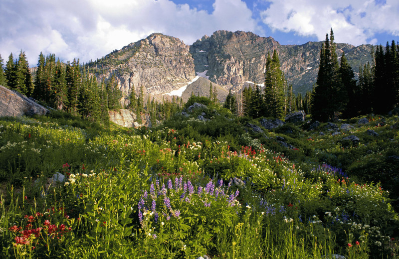 Mountains near Canyon Services Vacation Rentals.