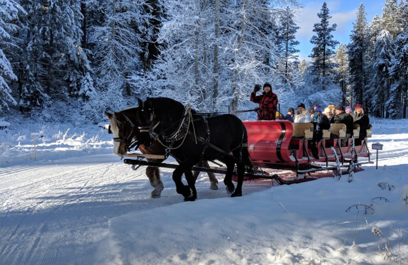 Sleigh ride at Natapoc Lodging.