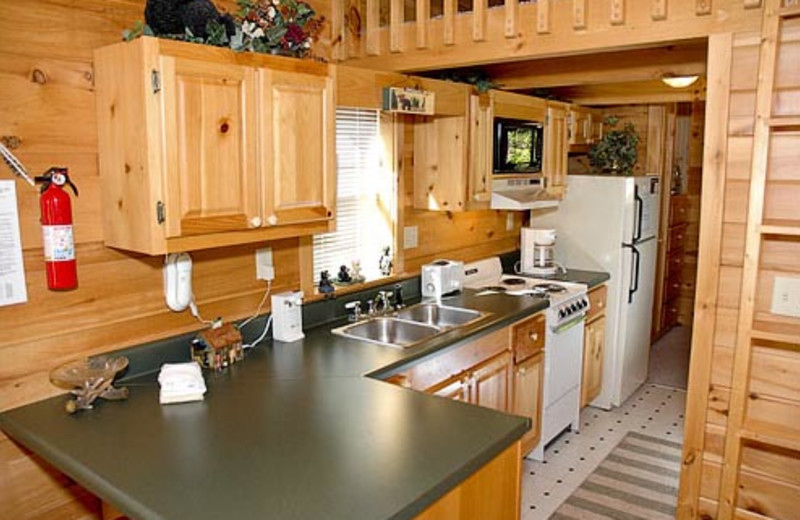 Kitchen Vacation Rental at Volunteer Cabin Rentals