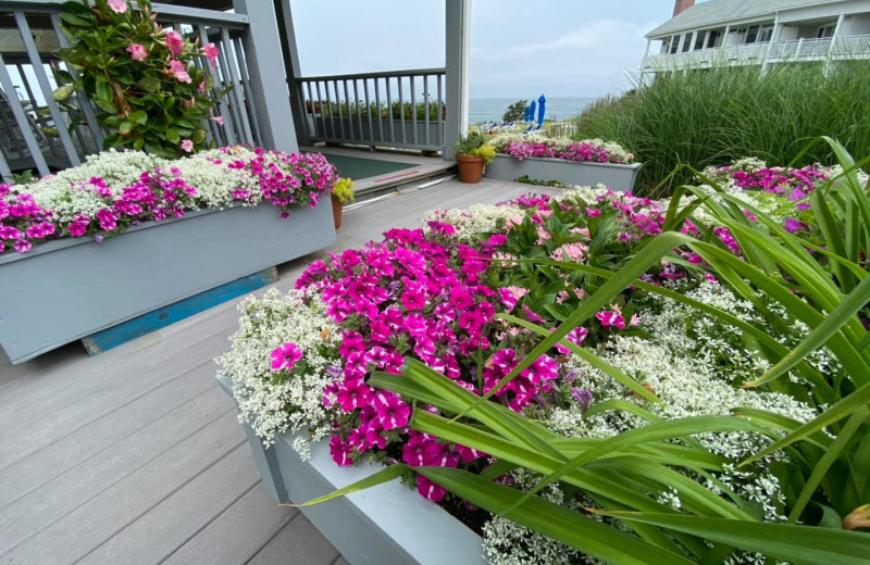 Garden at Beachmere Inn.