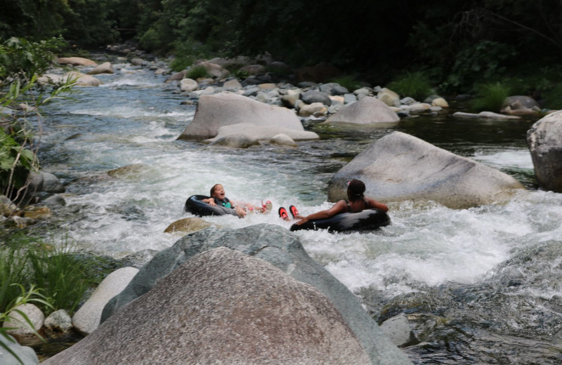 Coffee Creek Ranch (Trinity Center, CA) Resort Reviews