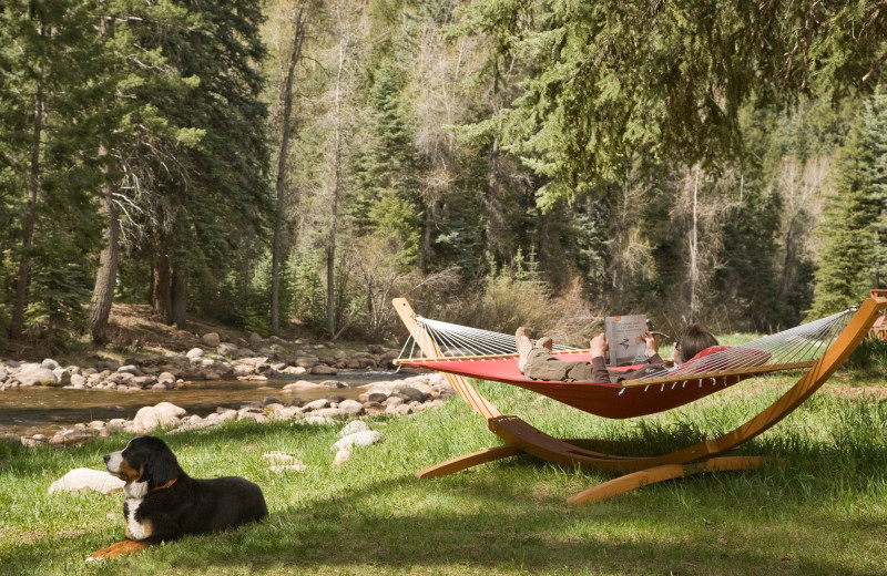 Hammock at O-Bar-O Cabins.